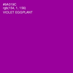#9A019C - Violet Eggplant Color Image